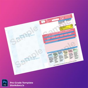 Blank United Kingdom DVLA Vehicle Registration Certificate Template (Word/PDF) Document Preview - BlankDocs