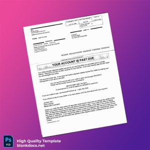 United States AmerenIP Editable Utility Bill Template in Word and PDF formats