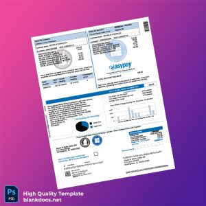 United States Birmingham Water Works Board Editable Water Bill Template in Word and PDF formats