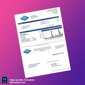 United States City Of Casper Editable Water Bill Template in Word and PDF formats