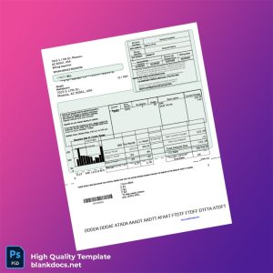 United States City Of Chicago Editable Gas Bill Template in Word and PDF formats