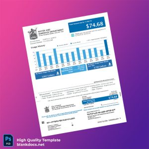 United States City Of Detroit Water And Sewerage Department Editable Water Bill Template in Word and PDF formats
