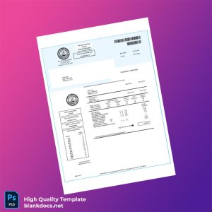 United States City Of Tampa Utilities Editable Water Bill Template in Word and PDF formats