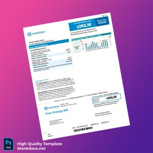 United States Con Edison Editable Electricity Bill Template in Word and PDF formats