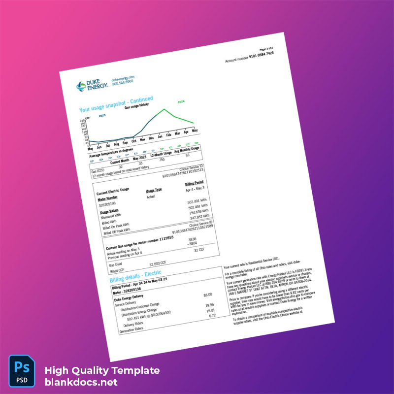 United States Duke Energy Editable Utility Bill Template in Word and PDF formats page 3