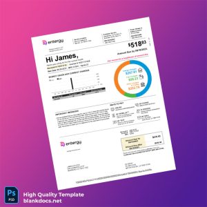 United States Entergy Louisiana Editable Utility Bill Template in Word and PDF formats