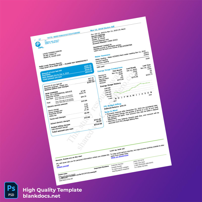 United States FPL Editable Electricity Bill Template in Word and PDF formats