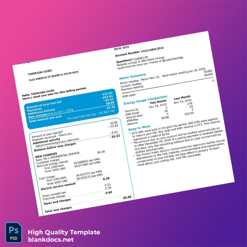 United States FPL Editable Utility Bill Template in Word and PDF formats