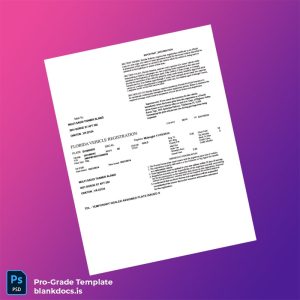 Blank United States Florida Vehicle Registration Certificate Template (Word/PDF) Document Preview - BlankDocs