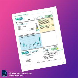United States Idaho Power Editable Utility Bill Template in Word and PDF formats