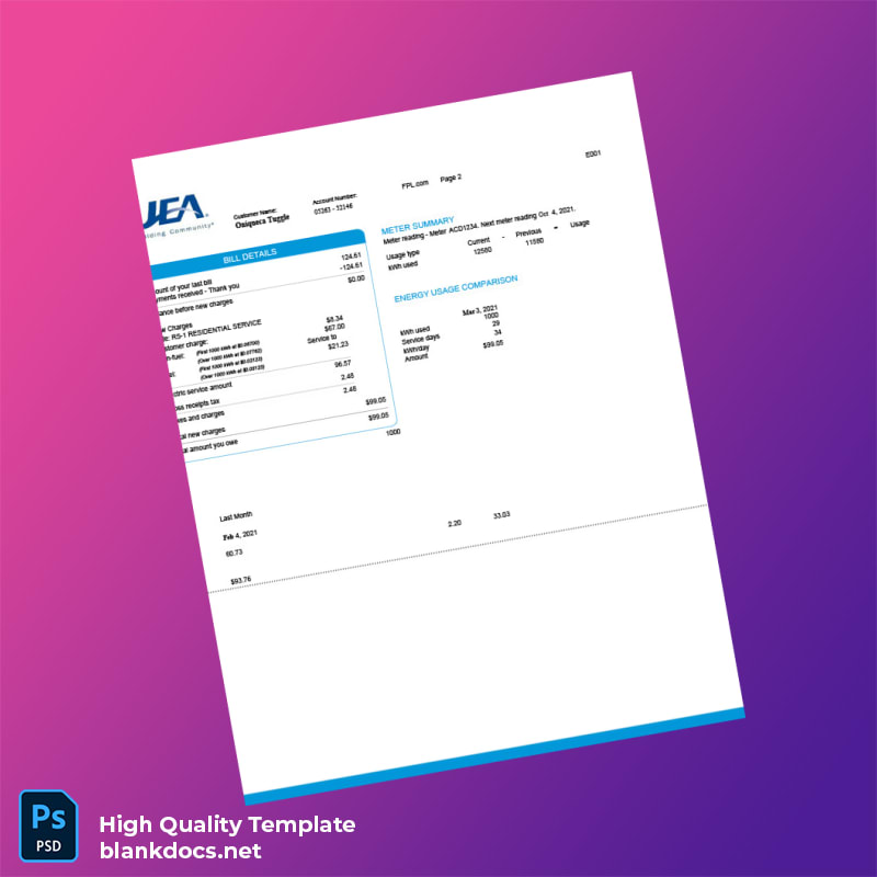 United States JEA Editable Electricity Bill Template in Word and PDF formats page 2