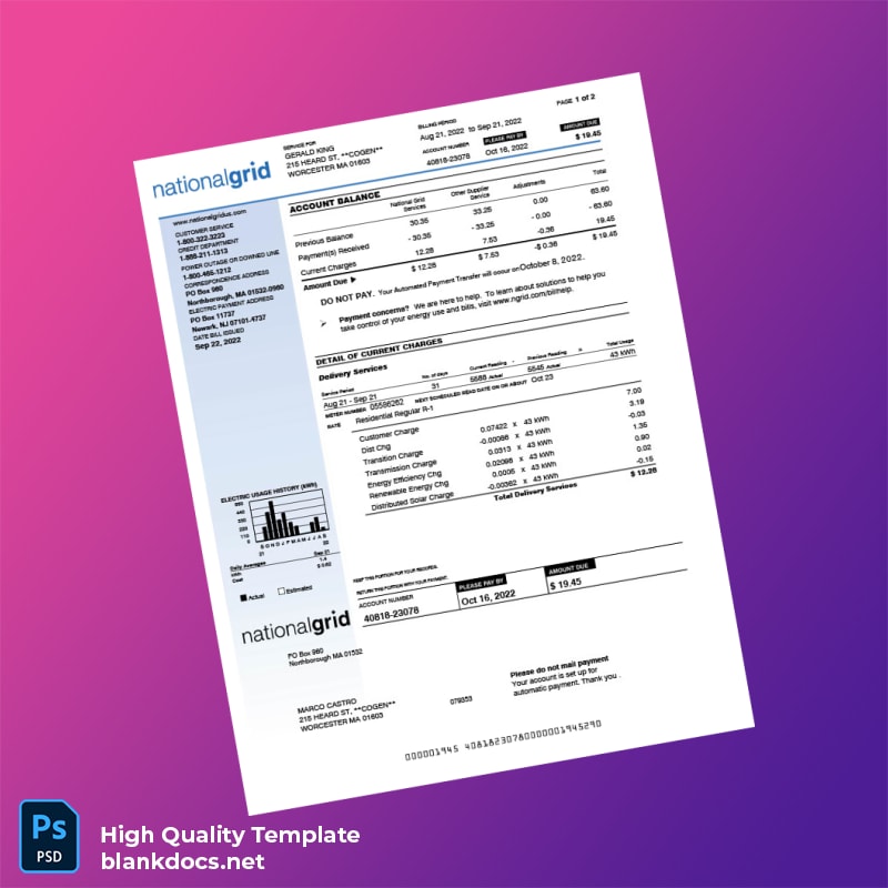 United States National Grid Editable Utility Bill Template in Word and PDF formats