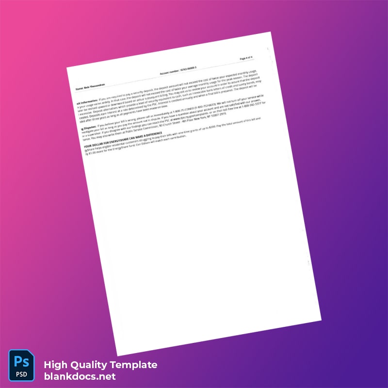 United States Not Specified Editable Utility Bill Template in Word and PDF formats page 4