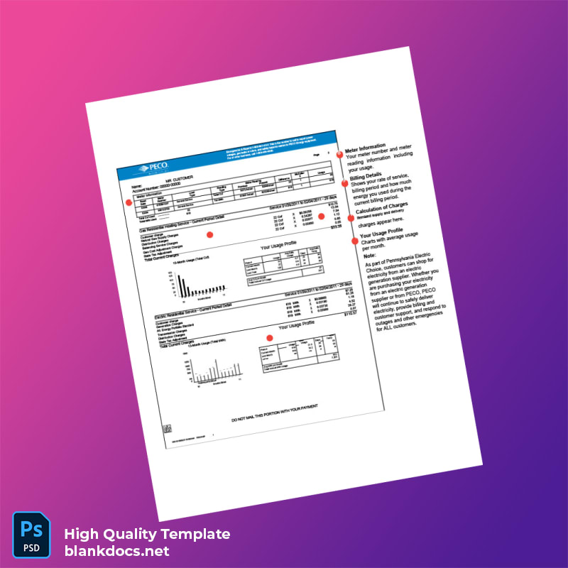 United States PECO Energy Editable Utility Bill Template in Word and PDF formats page 2