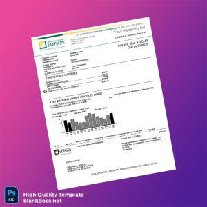 United States SCE Editable Utility Bill Template in Word and PDF formats