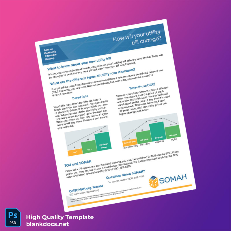 United States Southern California Edison Editable Utility Bill Template in Word and PDF formats page 2