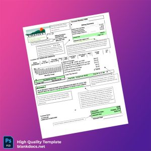 United States Trinity PUD Editable Utility Bill Template in Word and PDF formats