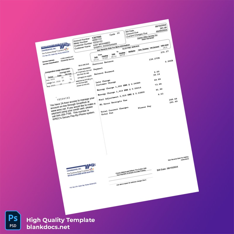 United States Withlacoochee River Electric Cooperative Inc Editable Electricity Bill Template in Word and PDF formats