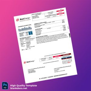 United States Xcel Energy Editable Utility Bill Template in Word and PDF formats