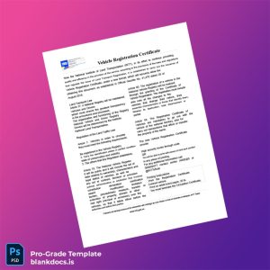 Blank Venezuela National Land Transportation Vehicle Registration Certificate Template (Word/PDF) Document Preview - BlankDocs