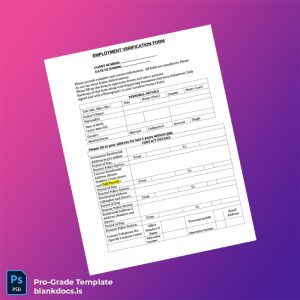 Blank Vibrant Employment Verification Letter Template (Word/PDF) Document Preview - BlankDocs