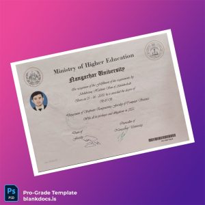 Blank Afghanistan Nangarhar University Bachelor's Degree in Software Engineering Template Document Preview - BlankDocs