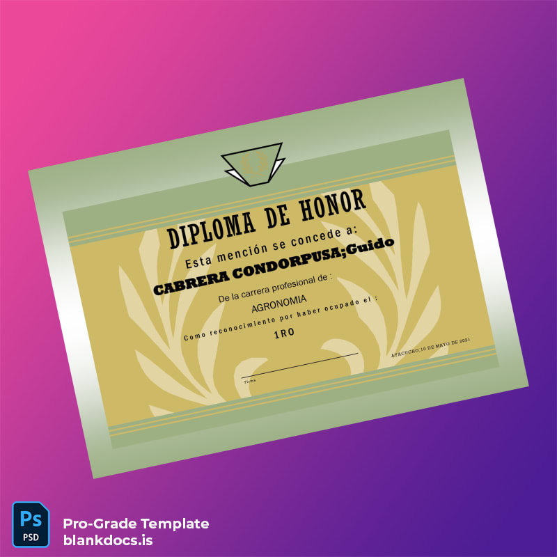 Blank Argentina Diploma of Honor Template page 3 Document Preview - BlankDocs