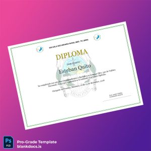 Blank Argentina Escuela Secundaria Rural Med. TIC High School Diploma Document Preview - BlankDocs