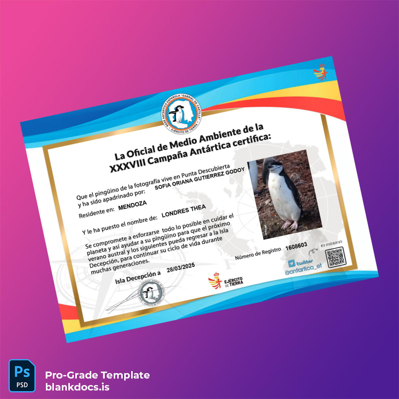 Blank Argentina Official Certificate of the XXXVIII Antarctic Campaign Document Preview - BlankDocs