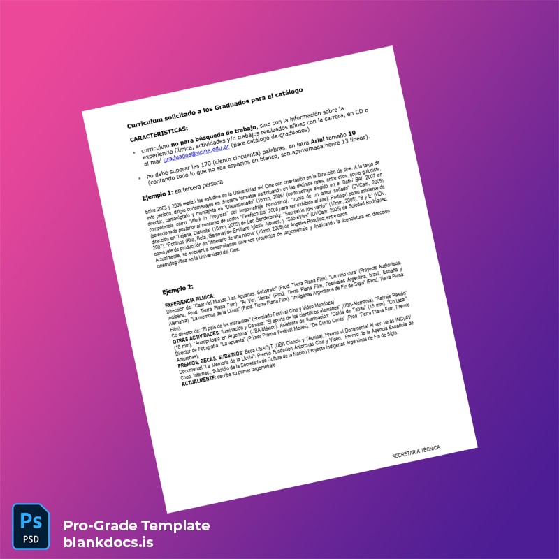 Blank Argentina University of Cinema Bachelor of Arts in Cinematography Template page 2 Document Preview - BlankDocs