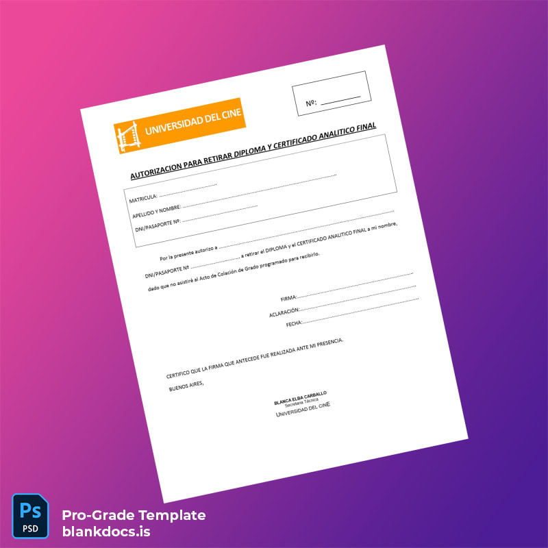 Blank Argentina University of Cinema Bachelor of Arts in Cinematography Template page 4 Document Preview - BlankDocs