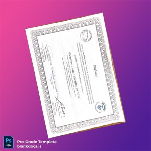 Blank Brazil Campos Estaduais Wendeson Junior Diploma Document Preview - BlankDocs