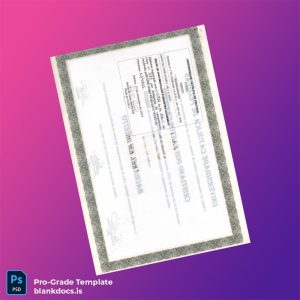 Blank Brazil Catholic University of Pelotas Diploma Template Document Preview - BlankDocs