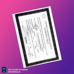 Blank Brazil Estácio de Ribeirão Preto Bachelor of Technology in Systems Analysis and Development Template Document Preview - BlankDocs