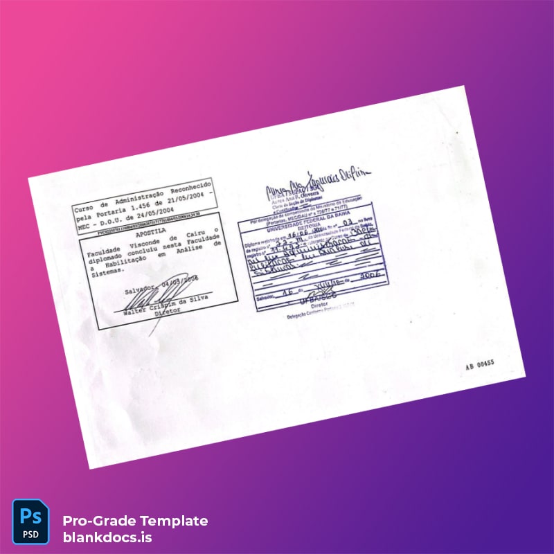 Blank Brazil Faculdade Visconde de Cairu Bachelor of Business Administration Template page 2 Document Preview - BlankDocs