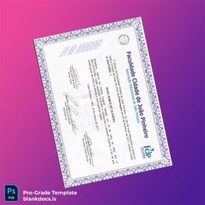 Blank Brazil Faculty City of João Pinheiro Bachelor of Nursing Diploma Template Document Preview - BlankDocs