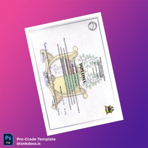 Blank Brazil Federal Republic School Diploma Template Document Preview - BlankDocs