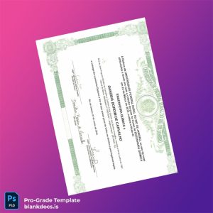 Blank Brazil Federal Rural University of Rio de Janeiro Bachelor of Chemical Engineering Diploma Document Preview - BlankDocs