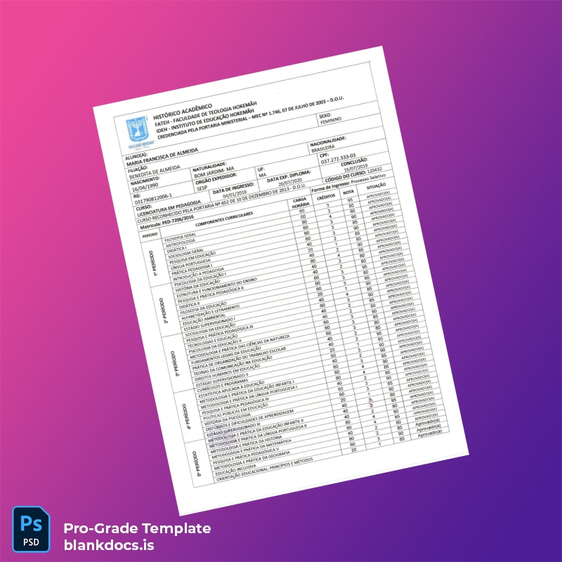 Blank Brazil Federal University Diploma Template page 3 Document Preview - BlankDocs