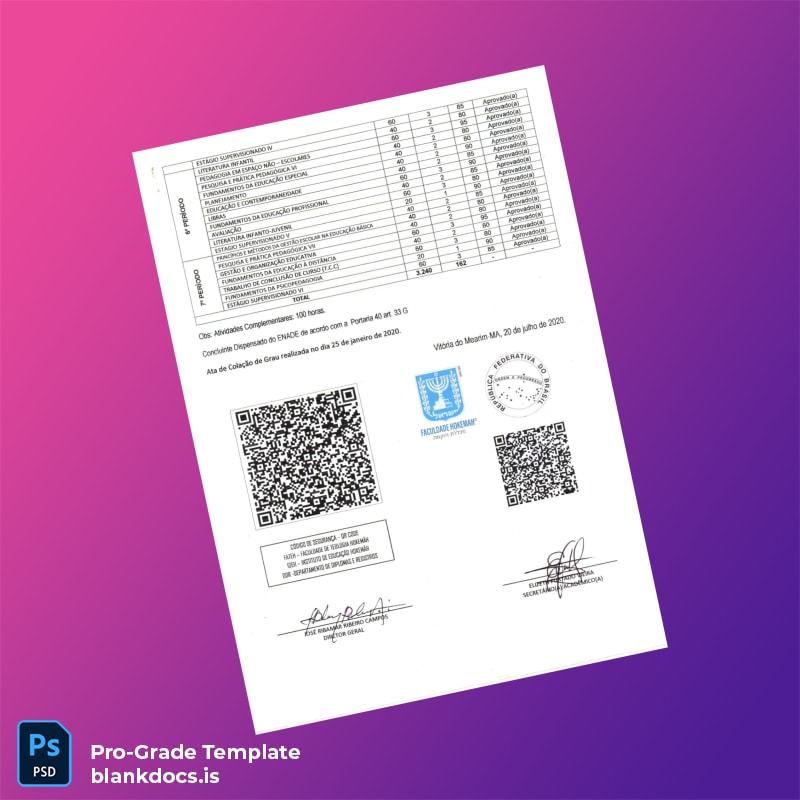 Blank Brazil Federal University Diploma Template page 4 Document Preview - BlankDocs