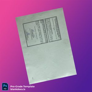 Blank Brazil Instituto Federal de Educação, Ciência e Tecnologia do Sul de Minas Gerais High School Diploma Document Preview - BlankDocs