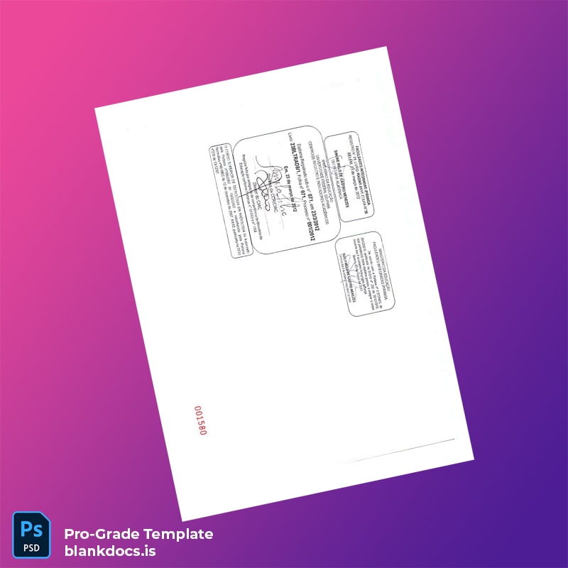 Blank Brazil Ipiranga Faculty Technology in Radiology Diploma Template page 2 Document Preview - BlankDocs
