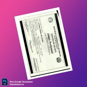 Blank Brazil Professional Technical Diploma Template Document Preview - BlankDocs
