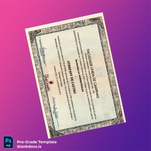 Blank Brazil UNICAMP Bachelor of Administration Template Document Preview - BlankDocs