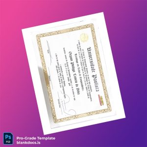 Blank Brazil University of Paulista Technology Degree in Computer Networks Template Document Preview - BlankDocs