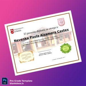 Blank Chile Colegio Coquimbito Recognition Diploma Template Document Preview - BlankDocs