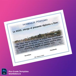 Blank Chile Diploma Template Document Preview - BlankDocs