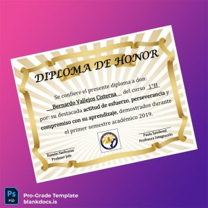 Blank Chile Diploma de Honor Template Document Preview - BlankDocs
