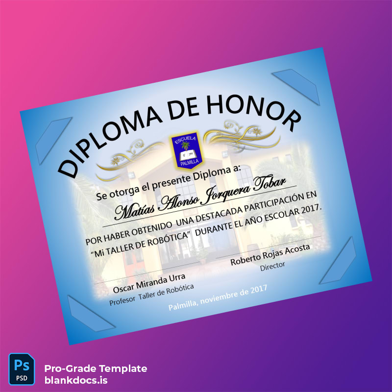 Blank Chile Escuela Palmilla Honor Diploma Template Document Preview - BlankDocs