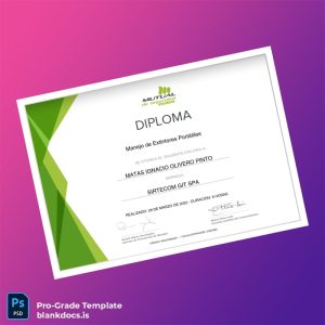Blank Chile Sirtecom GIT SPA Diploma in Portable Extinguisher Management Template Document Preview - BlankDocs